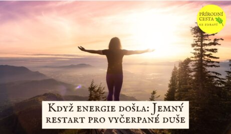jemný restart